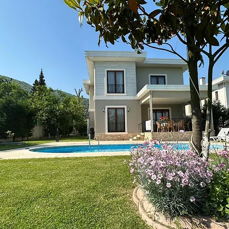 Guzel Evler Family