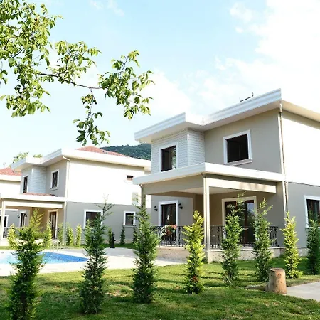 Guzel Evler Family *