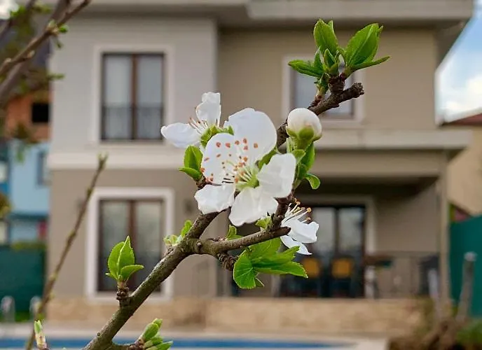 Villa Guzel Evler Family *