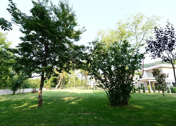 Guzel Evler Family *