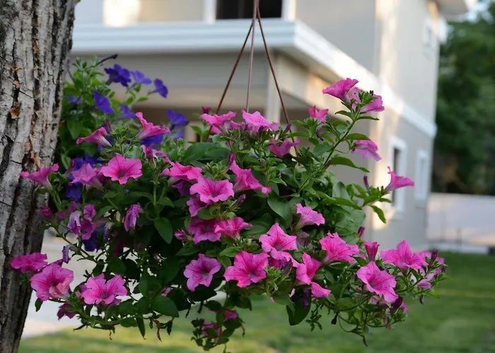 Guzel Evler Family Villa *